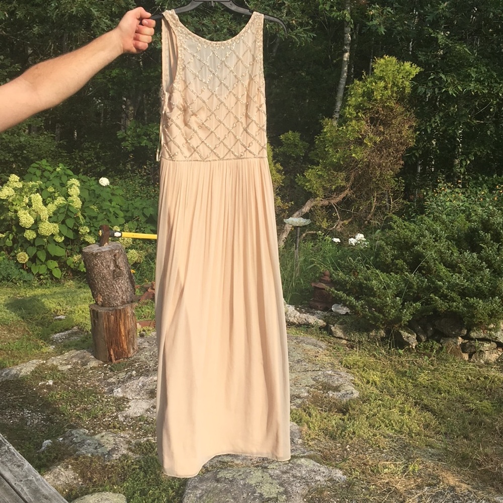 Adrianna Papell gown